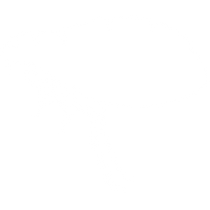 White Flea Icon with Flea Written Under it with a Black Background