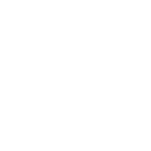 White Mosquito Icon with Mosquito Written Under it with a Black Background